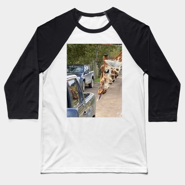 This Giraffe Thinks This Truck Might be Tasty Baseball T-Shirt by Bucklandcrafts